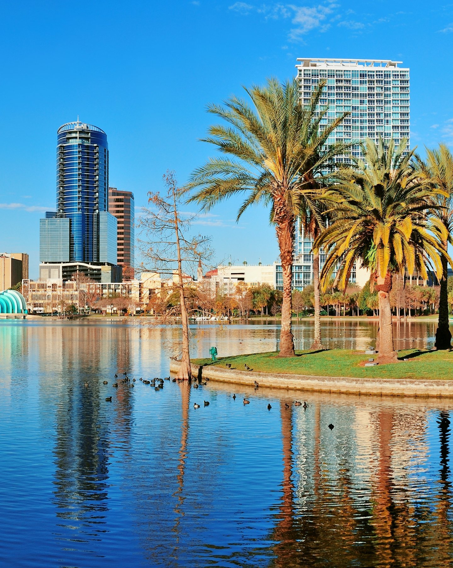Orlando, FL with palm trees and highrise buildings on one of their many lakes